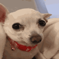 sticker image #29