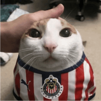 sticker image #25