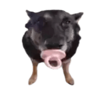 sticker image #1