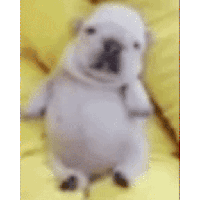 sticker image #13