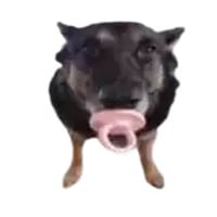 tray_icon
