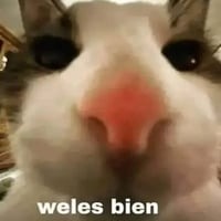 sticker image #11