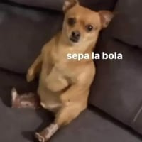 sticker image #19