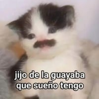 sticker image #21