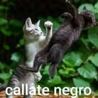 sticker image #10