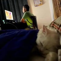 sticker image #10