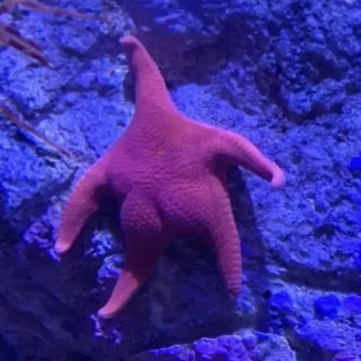 tray_icon #121622 sticker_pack