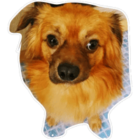 sticker image #1