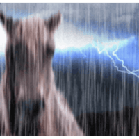 sticker image #21