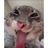 sticker image #22