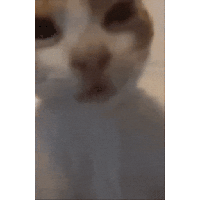 sticker image #27