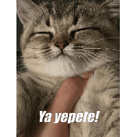 sticker image #7