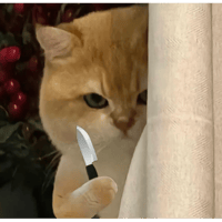 sticker image #20