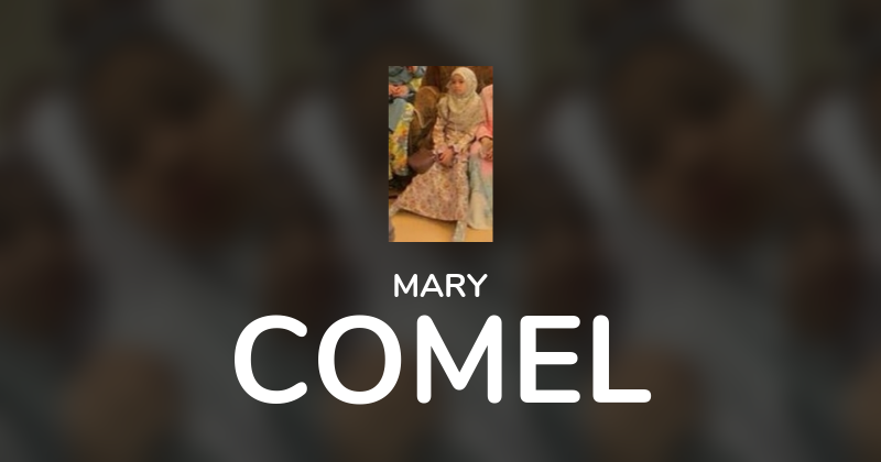 Sticker Maker - COMEL