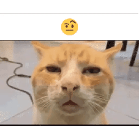 sticker image #17