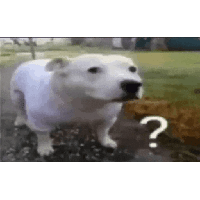 sticker image #29