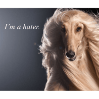 sticker image #11