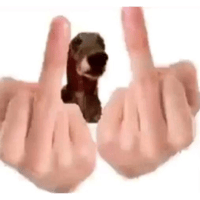 sticker image #20