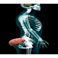 sticker image #4