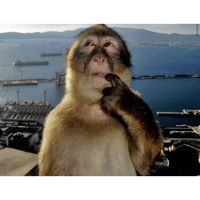 sticker image #7