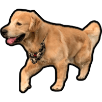 sticker image #1