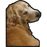sticker image #10