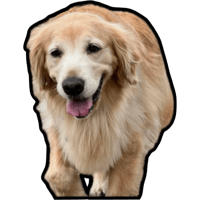 sticker image #14