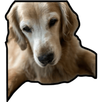 sticker image #15