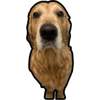sticker image #19