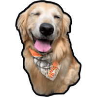 sticker image #6