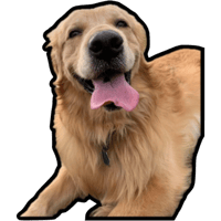 sticker image #7