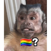 sticker image #13