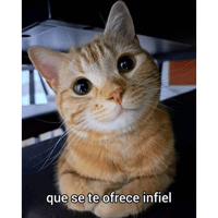 sticker image #18