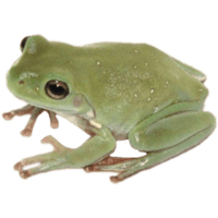 sticker image #16