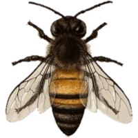 sticker image #18