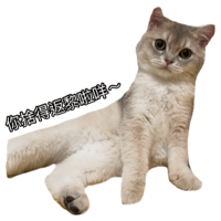 sticker image #12