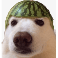 tray_icon