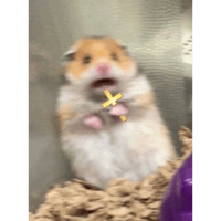 sticker image #29