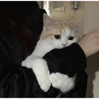 sticker image #17