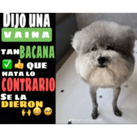sticker image #7