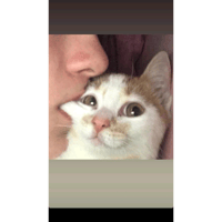 sticker image #11