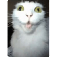 sticker image #16