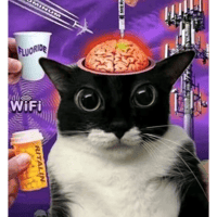 sticker image #26