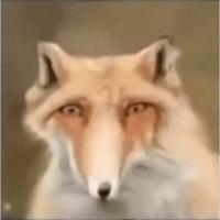 sticker image #27