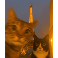 sticker image #5