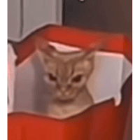 sticker image #7