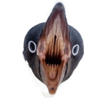 sticker image #5
