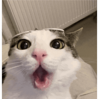 sticker image #27