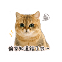 sticker image #14