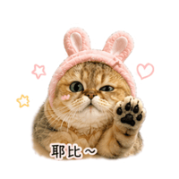 sticker image #15
